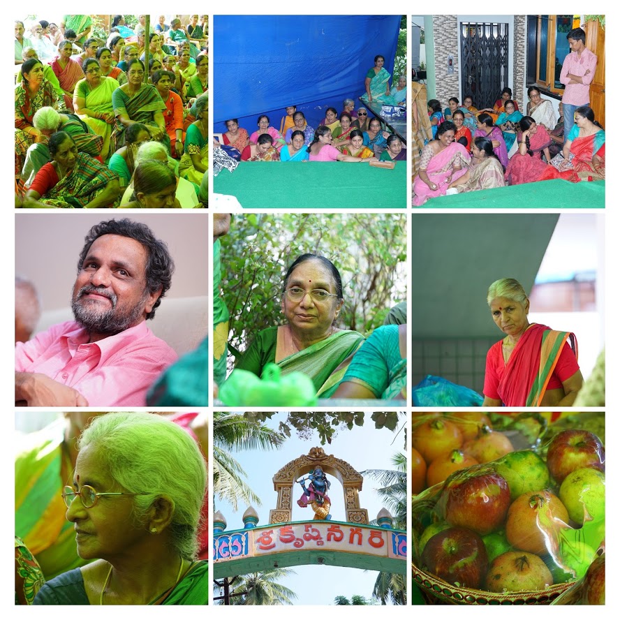 Sri Nannagaru - Birthday 2017